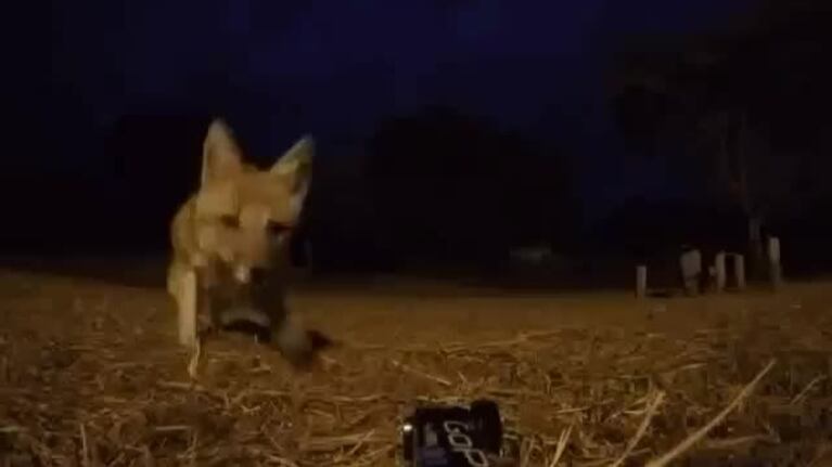 El momento justo del robo de la cámara.