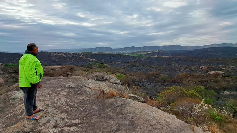 El monte cordobés después del incendio. Foto: Juan Pablo Lavisse / El Doce. 