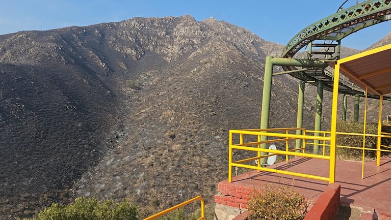 El monte seco y quemados tras el paso del fuego en las  Aerosillas de Los Cocos.