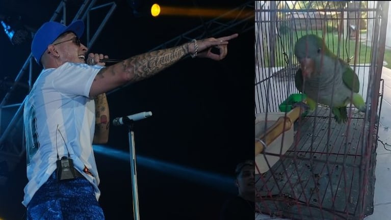 El "Mueve el poposao" de DesaKTa2 se mantiene entre las principales tendencias de YouTube.