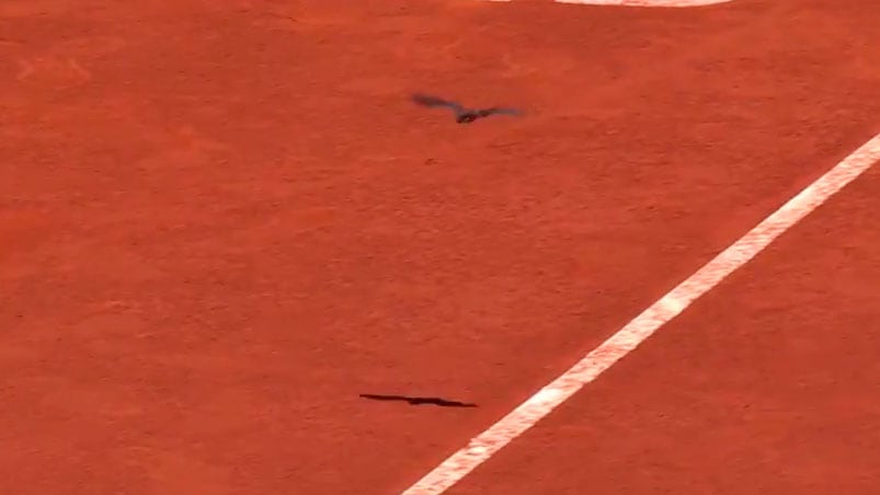 El murciélago sobrevuela el polvo de ladrillo, en el Open de Madrid.