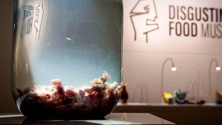 El museo más asqueroso del mundo: exhiben comida contaminada