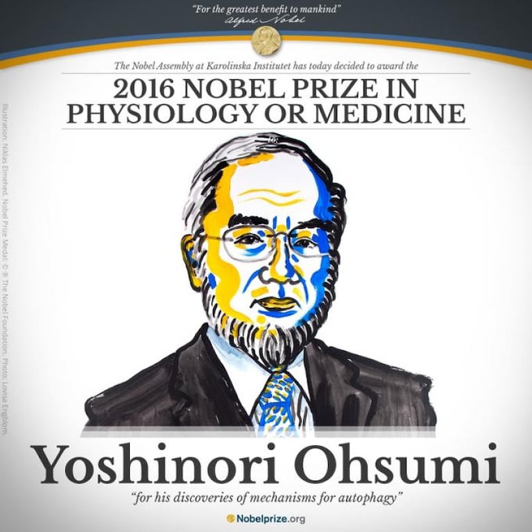 El Nobel de Medicina es para Yoshinori Ohsumi