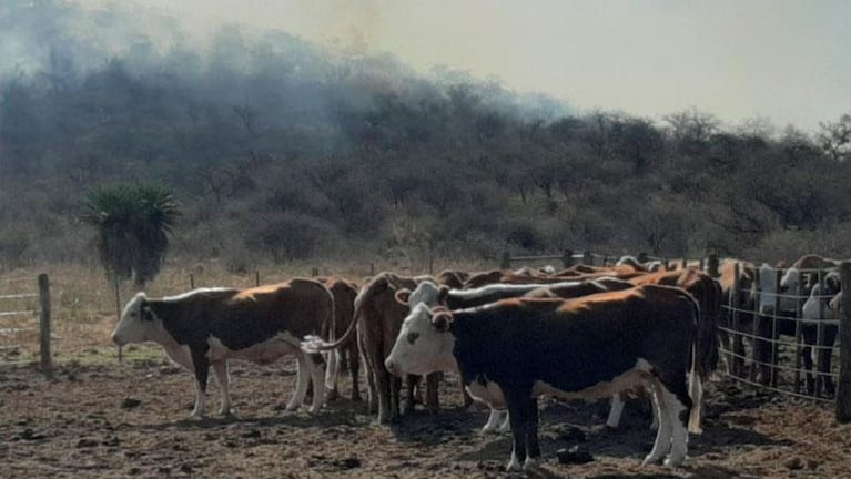 El norte de Córdoba, en llamas: los bomberos siguen trabajando y crece la preocupación