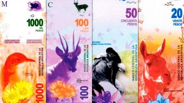 El nuevo billete de 20 pesos estará ilustrado con un guanaco