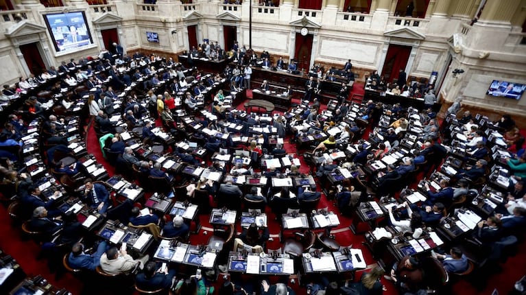 El oficialismo busca la aprobación definitiva de la Ley Bases y el paquete fiscal en Diputados. (Foto: Reuters - Tomás Cuesta)