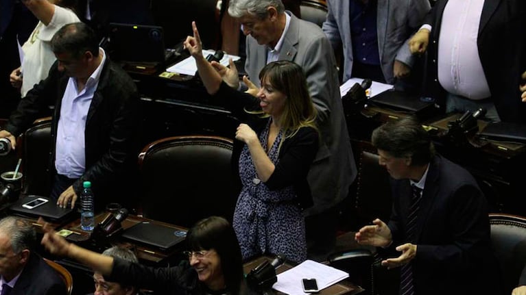El oficialismo festejó ante la bronca de la oposición.