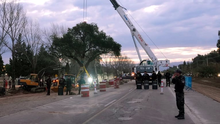 El operativo de remoción del quebracho en avenida Luchesse.