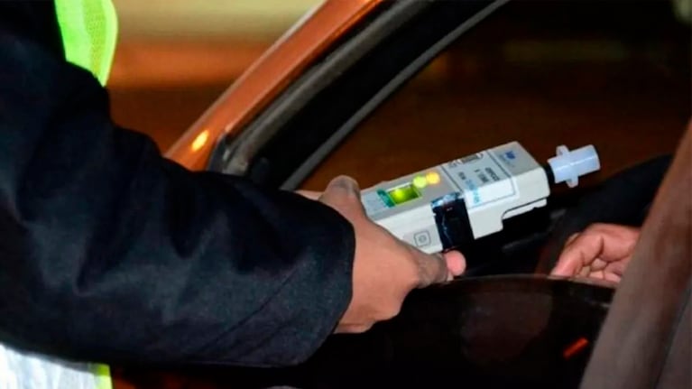 El operativo se realizó en la ruta 11, en Mar del Plata.