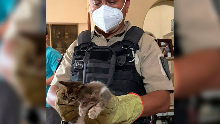 El operativo surgió a partir de una denuncia en la comisaría del barrio.