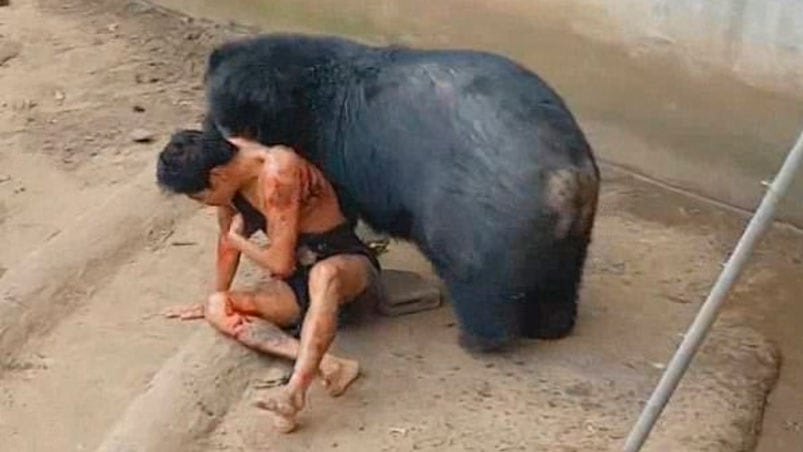 El oso atacando al hombre.