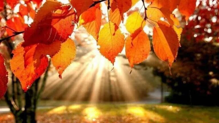 El otoño 2025 le robó un día al verano.