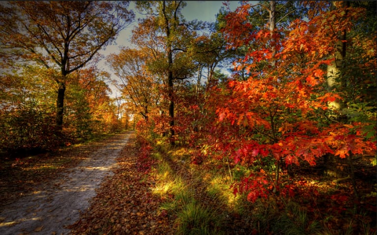 ¡El otoño se adelantó un día y ya comenzó!