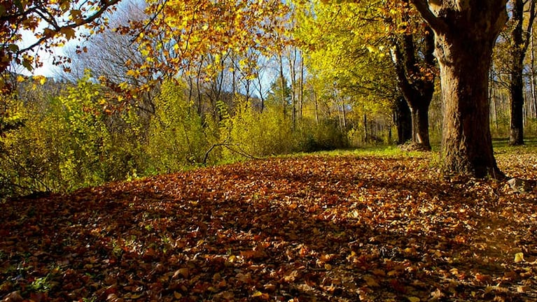 El otoño se sentirá a pleno en las sierras. Foto: Fotocommunity.