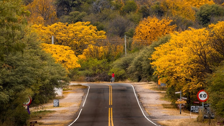 El paisaje del otoño en las sierras de Córdoba.