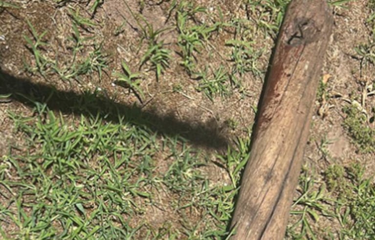 El palo con clavos que usaron como arma homicida fue hallado junto al cuerpo.