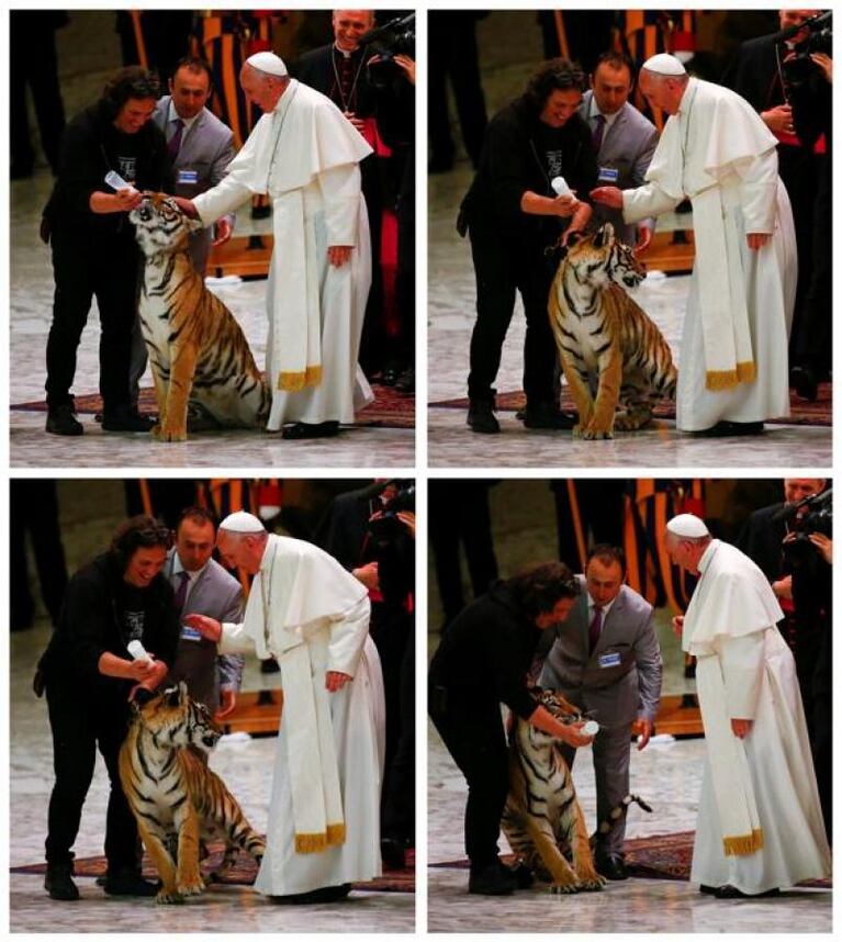 El papa Francisco recibió a un tigre 