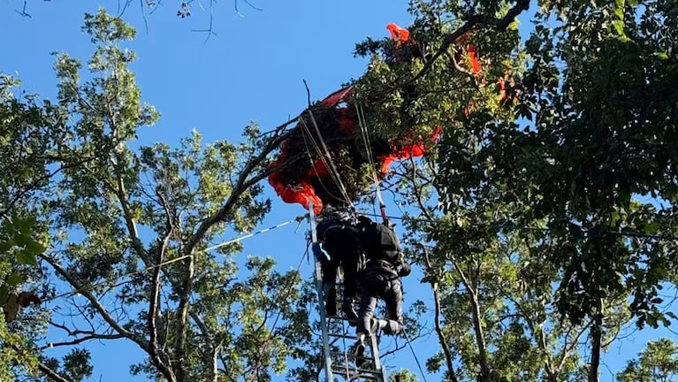 El paracaídas quedó enredado en un árbol. Foto: @NashvilleFD.
