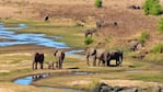 El parque de Kruger es una de las principales reservas del continente africano.