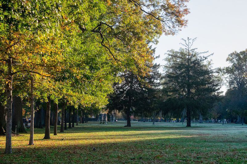 El Parque Huntington fue el lugar donde se vio a la criatura.