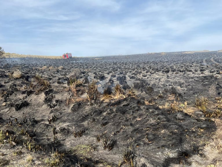 El Parque Nacional de la Quebrada del Condorito arrasado por el fuego (Foto: Mateo Lago)