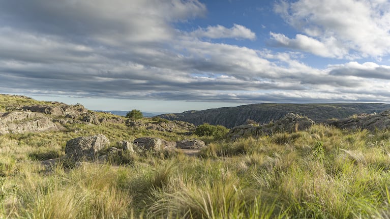 El Parque Nacional Quebrada del Condorito fue la primera propuesta del sistema de OpenAI.