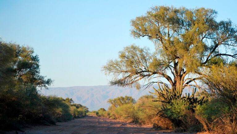El parque nacional Traslasierra-Pinas, uno de los patrimonios de Córdoba. Foto: Julio Monguillot. 