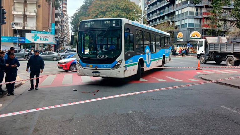 El peatón resultó con un traumatismo de cráneo severo.