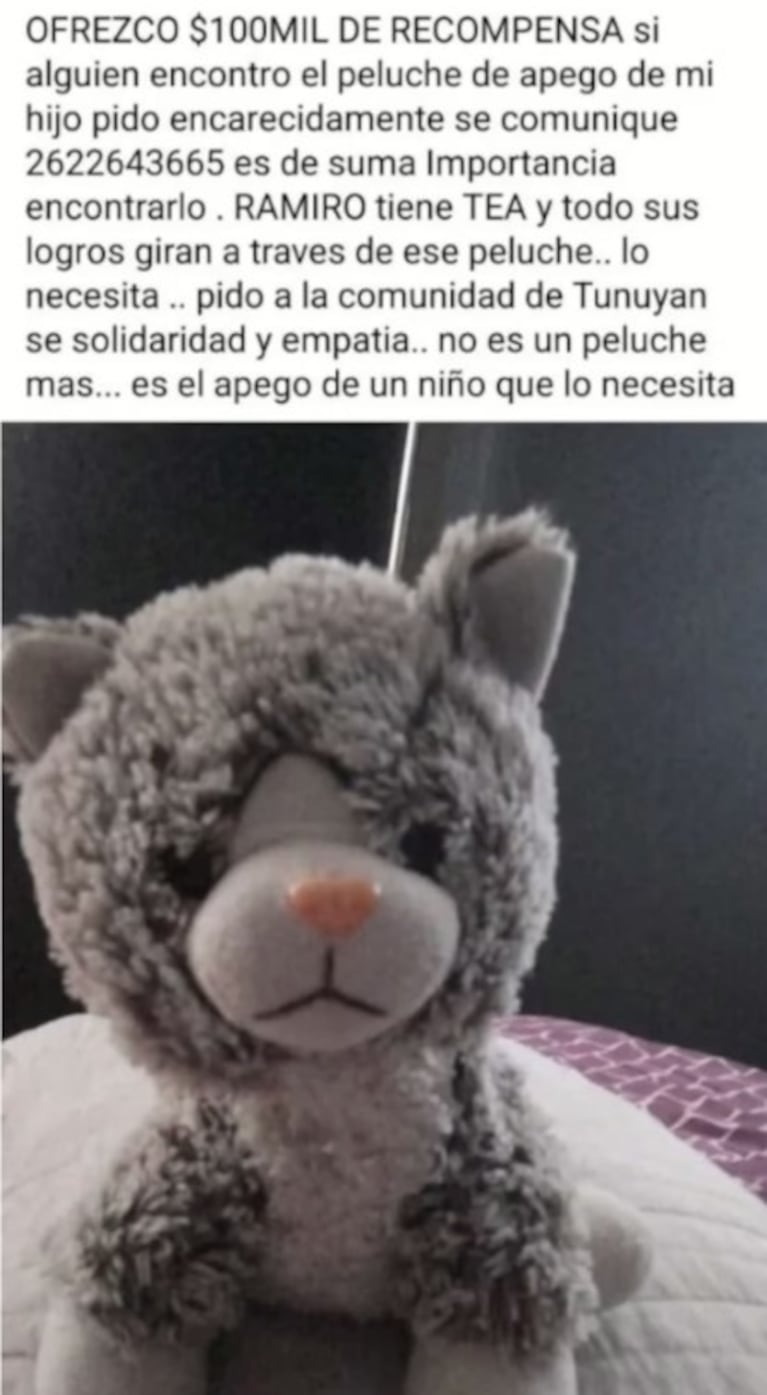 El pedido de la familia para que apareciera el osito de peluche.
