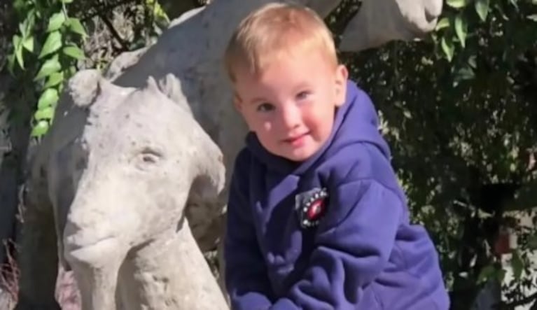 El pequeño Owen tenía dos años.