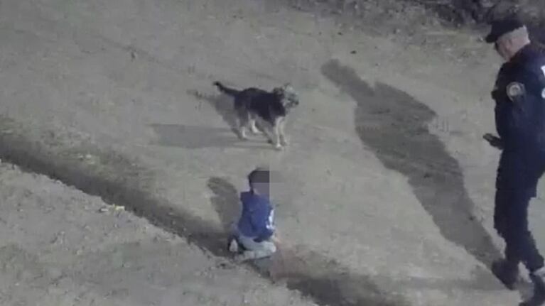 El perrito jamás se despegó del bebé.