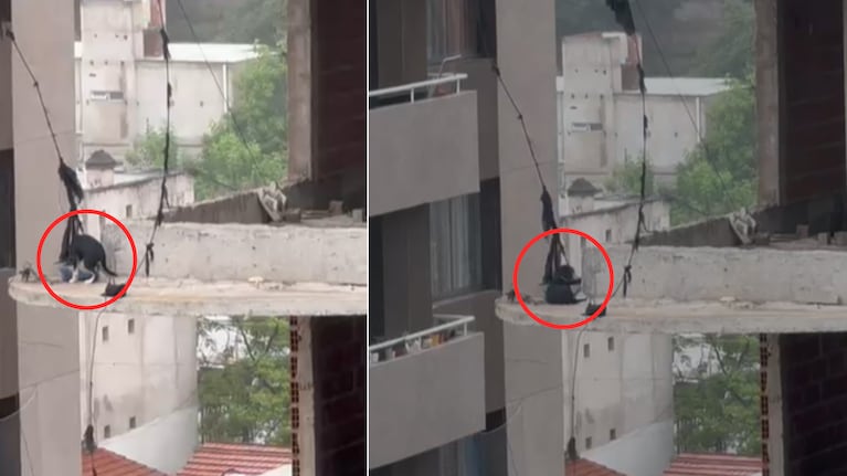 El perro al borde del abismo en el edificio de los "okupas".