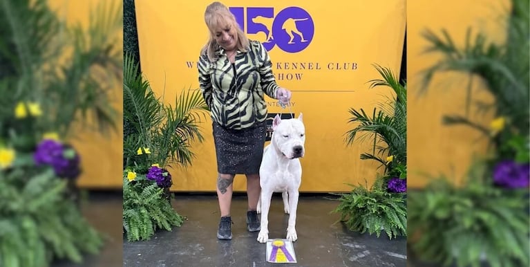 El perro cordobés se impuso en el reconocido certamen de Estados Unidos.