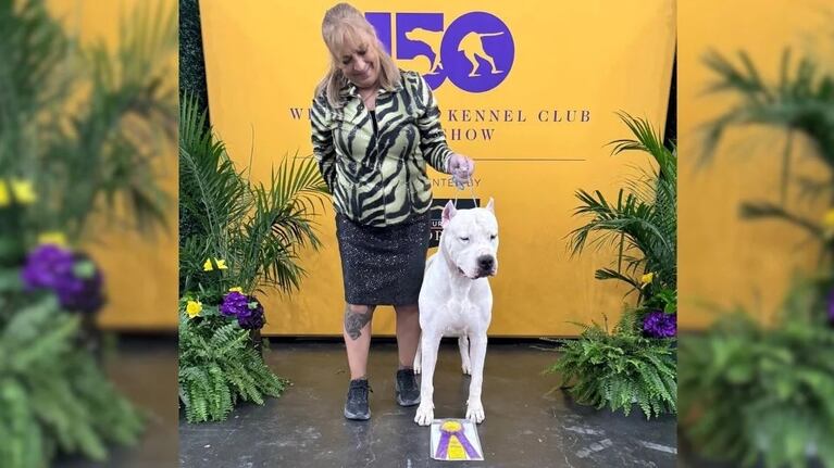 El perro cordobés se impuso en el reconocido certamen de Estados Unidos.