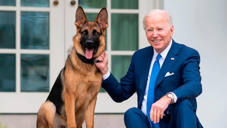 El perro de Biden ya mordió a 11 agentes secretos y tomaron una drástica decisión