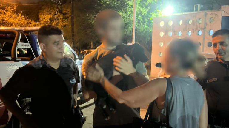 El perro fue robado de una casa de Villa Belgrano.
