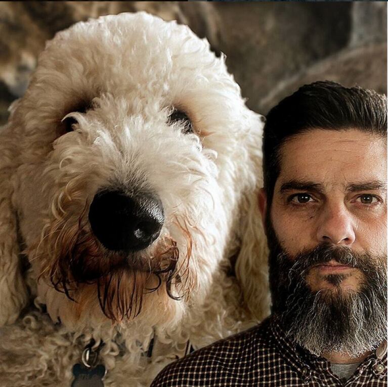 El perro gigante que es furor en Instagram