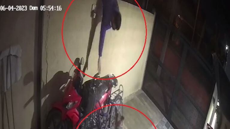 El perro le ladró al intruso hasta que salió de la propiedad.