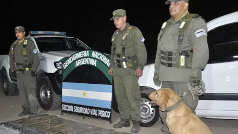 El perro "Limón" fue clave para encontrar la droga. 