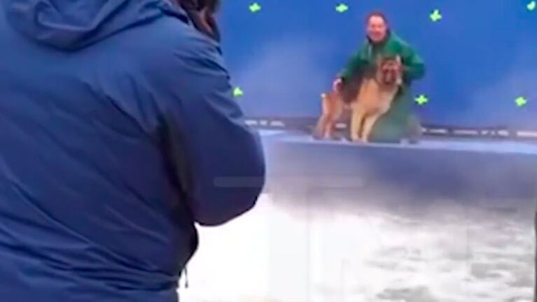 El perro protagonista de la historia.