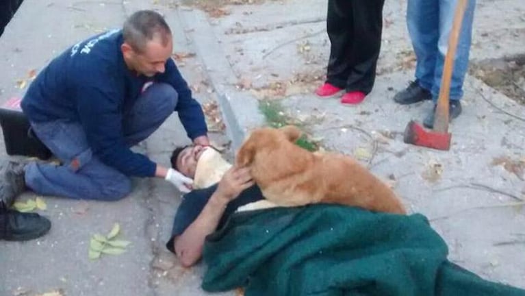 El perro que abrazó a su dueño hasta que llegó la ambulancia