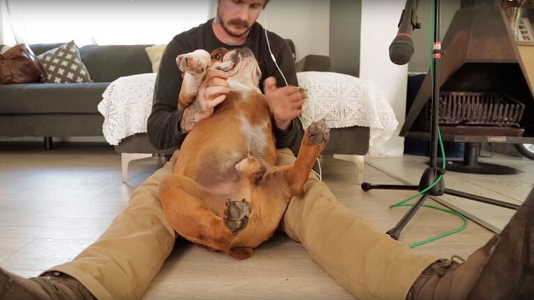 El perro y su dueño divirtiéndose un rato.
