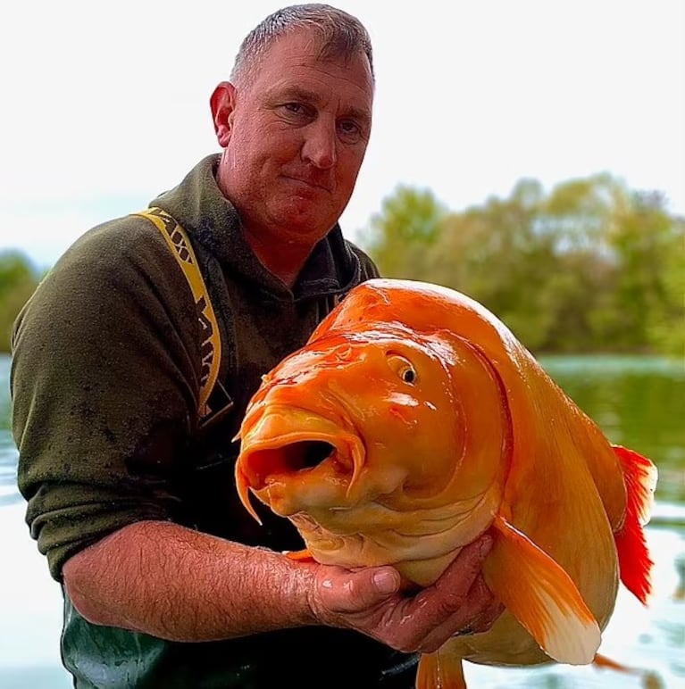 El pescador que atrapó a Carrot cuando aún estaba con vida.