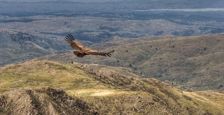 El piloto aceptó reparar el daño ambiental ocasionado para poner fin a la causa penal en su contra.