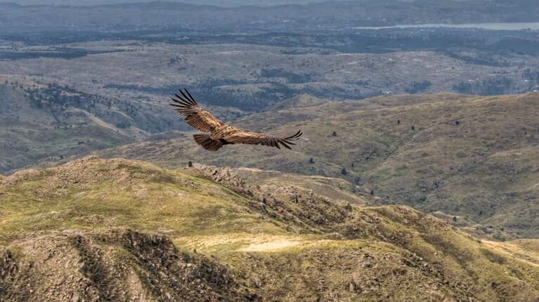 El piloto aceptó reparar el daño ambiental ocasionado para poner fin a la causa penal en su contra.