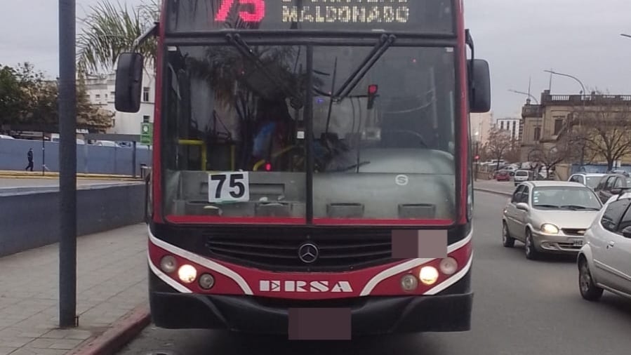 El procedimiento se llevó a cabo en la zona de la Terminal de Ómnibus.