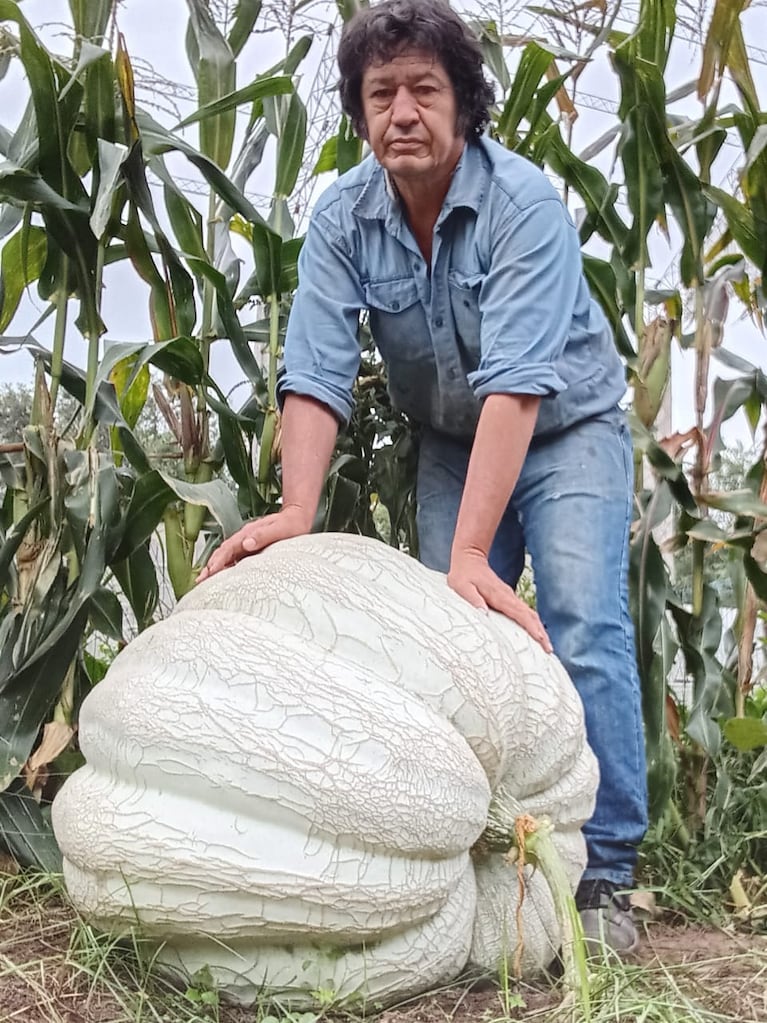 El productor logró un zapallo de 111 kilos y consiguió el récord.