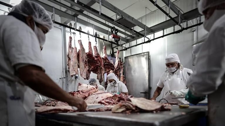 El programa de cortes de carne vacuna a precios accesibles comenzó en febrero.