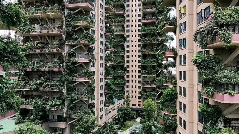 El proyecto de 826 departamentos tiene la apariencia de una pequeña selva.
