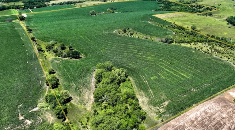 El pueblo otorga terrenos gratis para que crezca su población.